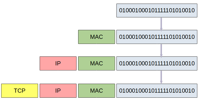 Schématisation de l'encapsulation